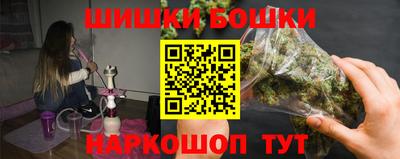 шишки Новозыбков
