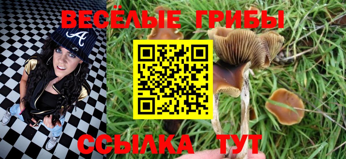 Псилоцибиновые грибы ЛСД  Вход с VPN  Севастополь 